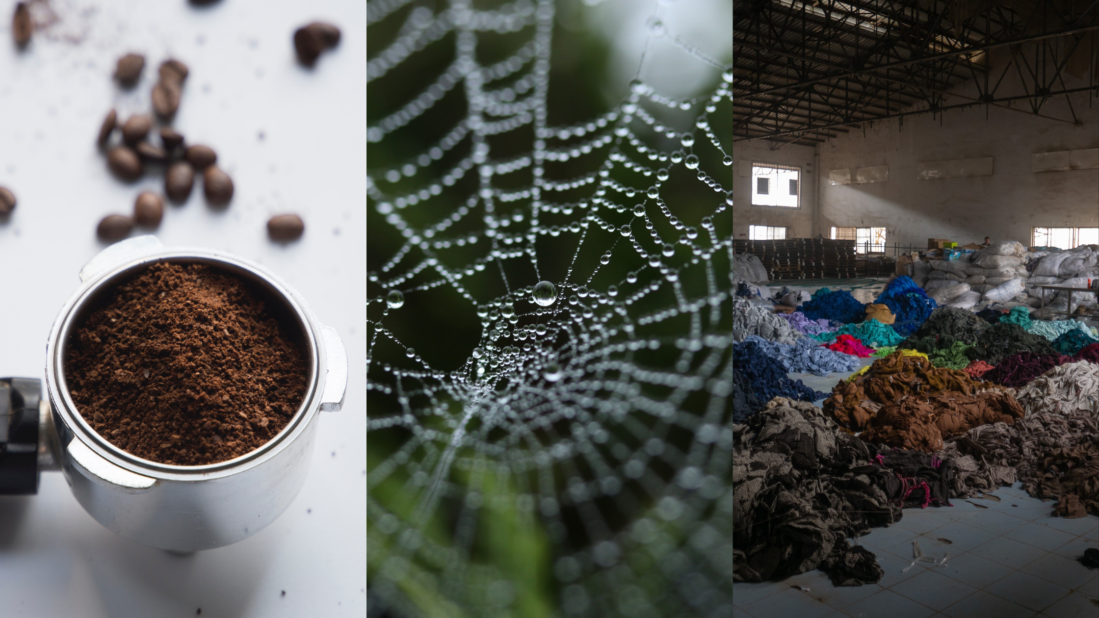 Innovative Building Materials and Earthquake-Resistant Buildings. Image of a coffee grounds in an espresso device (left), a spider web with dew droplets on it (middle), and a warehouse a discarded clothing sorted into piles based on color (right).
