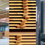 Office Sector Growth, Mass Timber, and CRE Recovery in 2025. Image of an office space (left), stacked mass timber (middle), and buildings in Uptown Charlotte, NC (right).