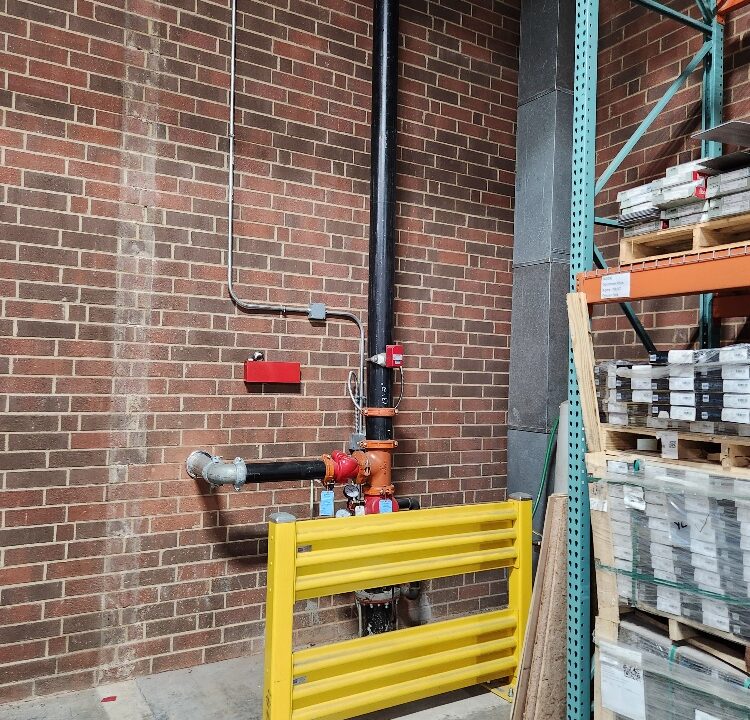 20251126_140836_resized_1