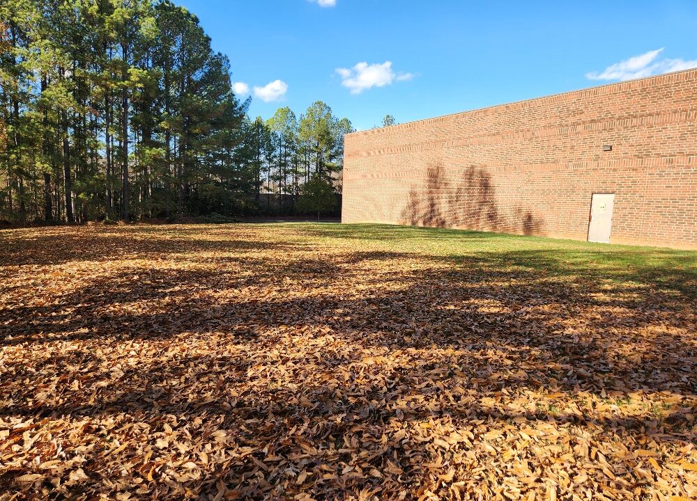 20251126_142339_resized