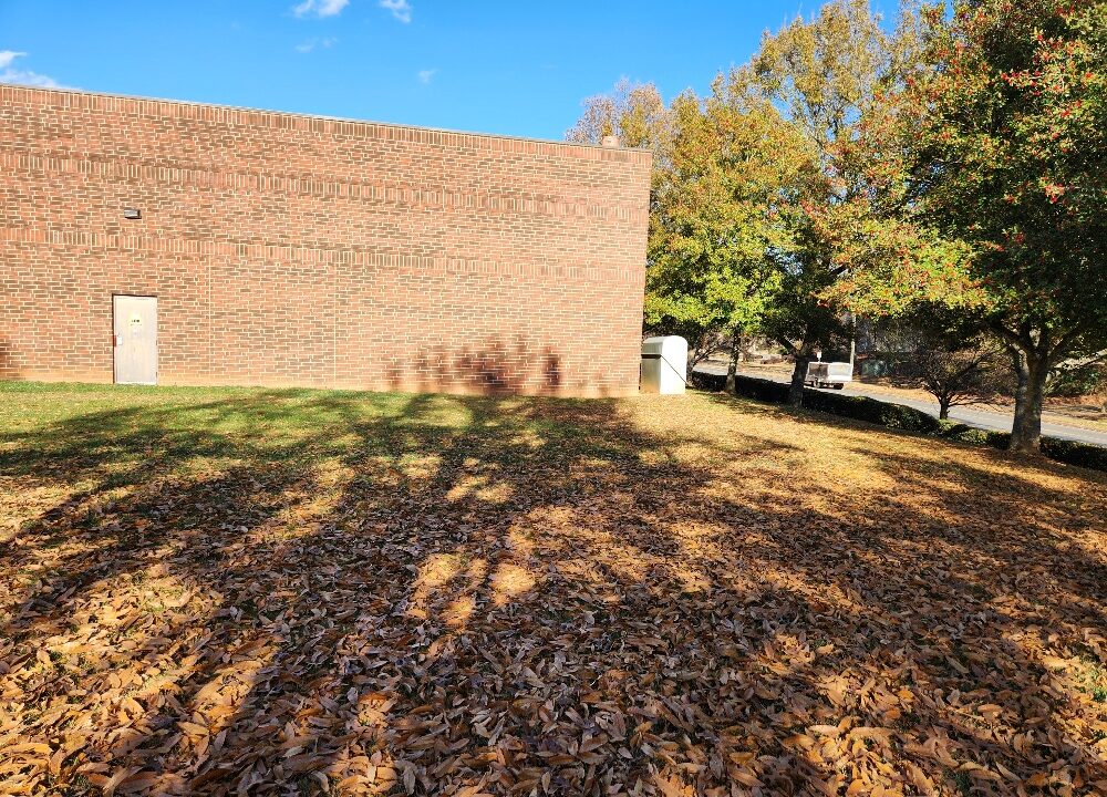 20251126_142349_resized