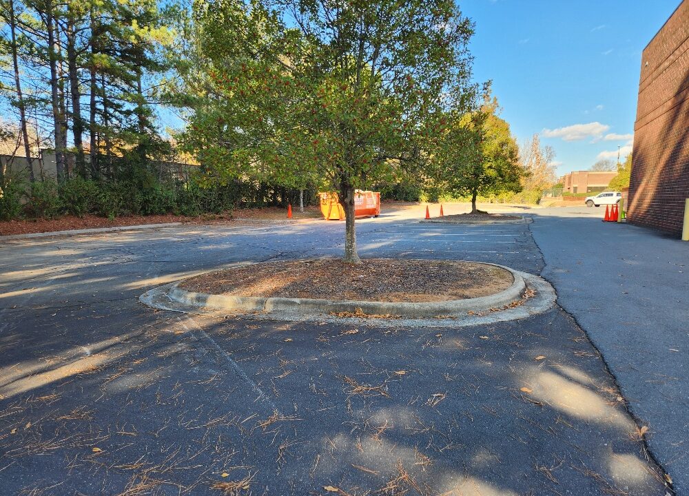 20251126_142726_resized