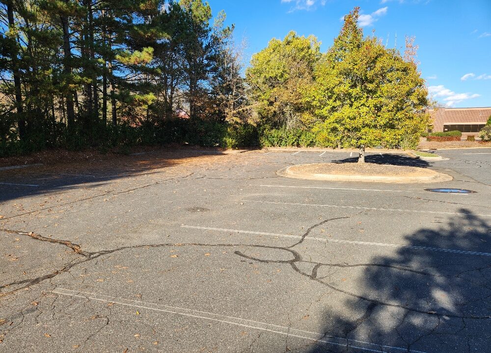 20251126_142850_resized